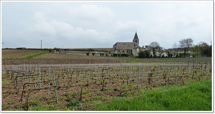Tour de Champagne